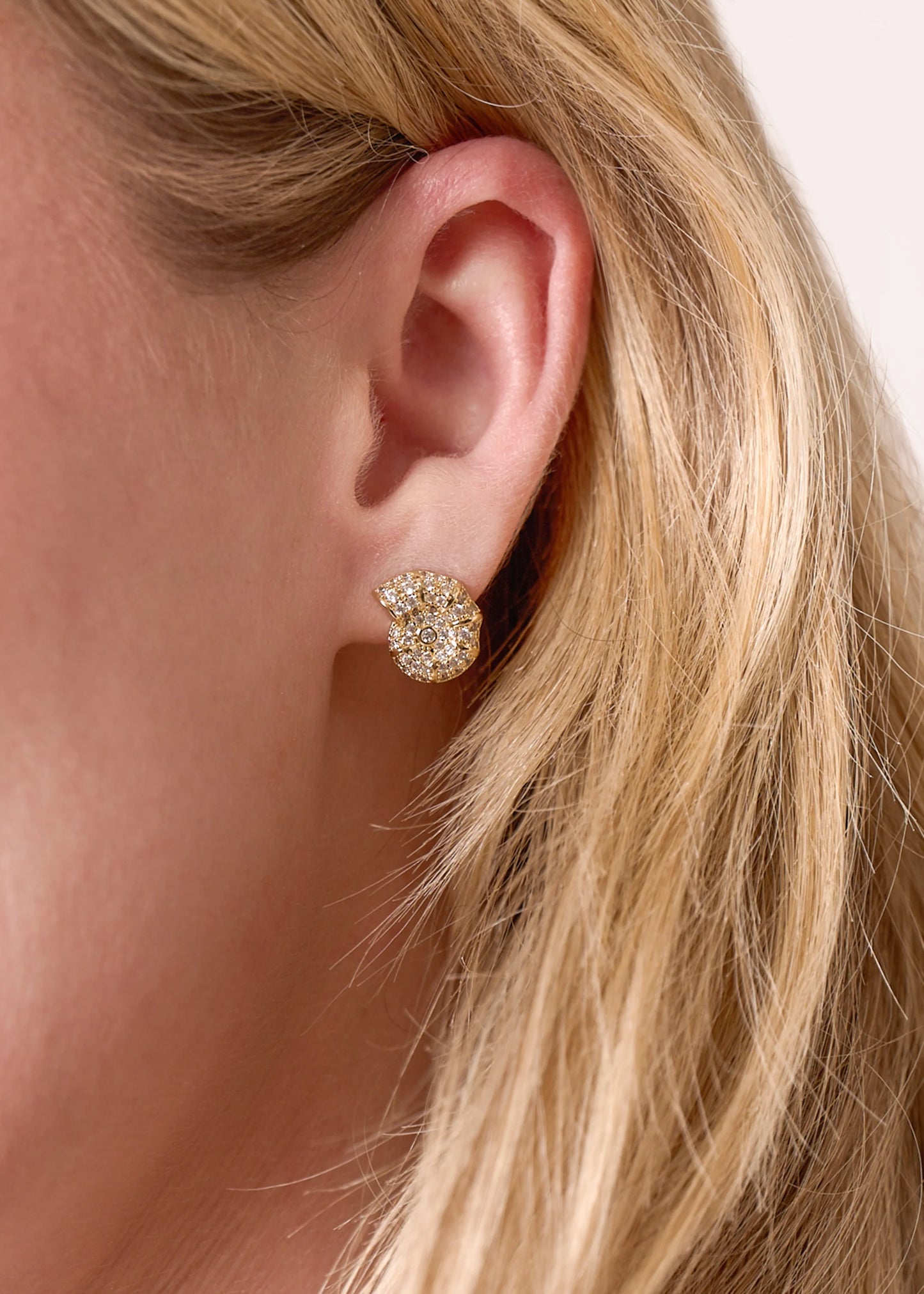 Zivarri Jewels Ocean Studs - 14kt Gold Plated Nautilus Earrings
